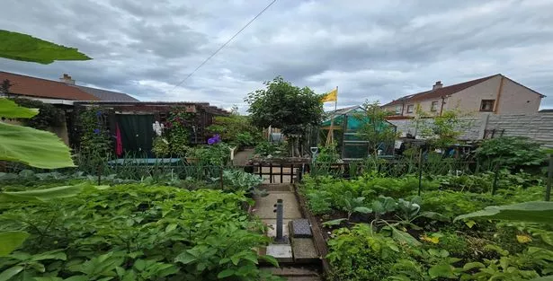 This is Mr Stewart's beloved garden in Onthank Drive, Kilmarnock 