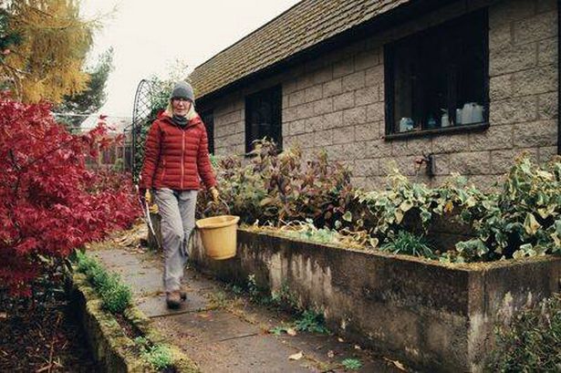 Winter garden tidy in November
