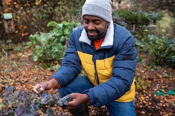 A man doing gardening