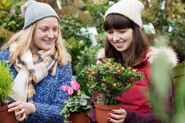 Two friends buying some plants