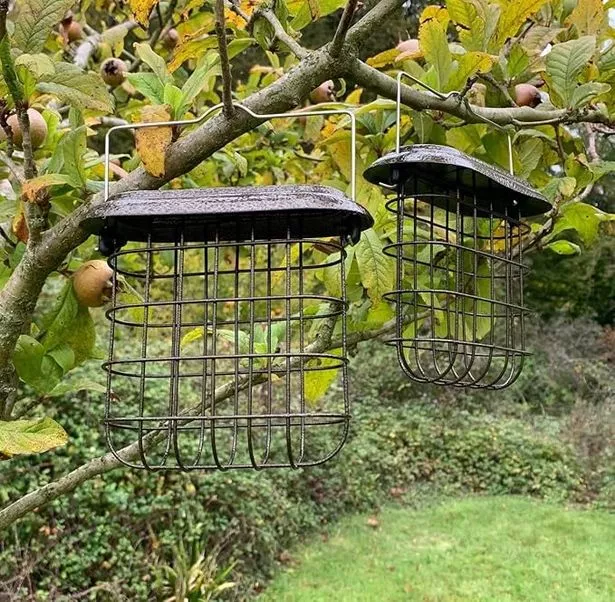 A metal bird feeder 