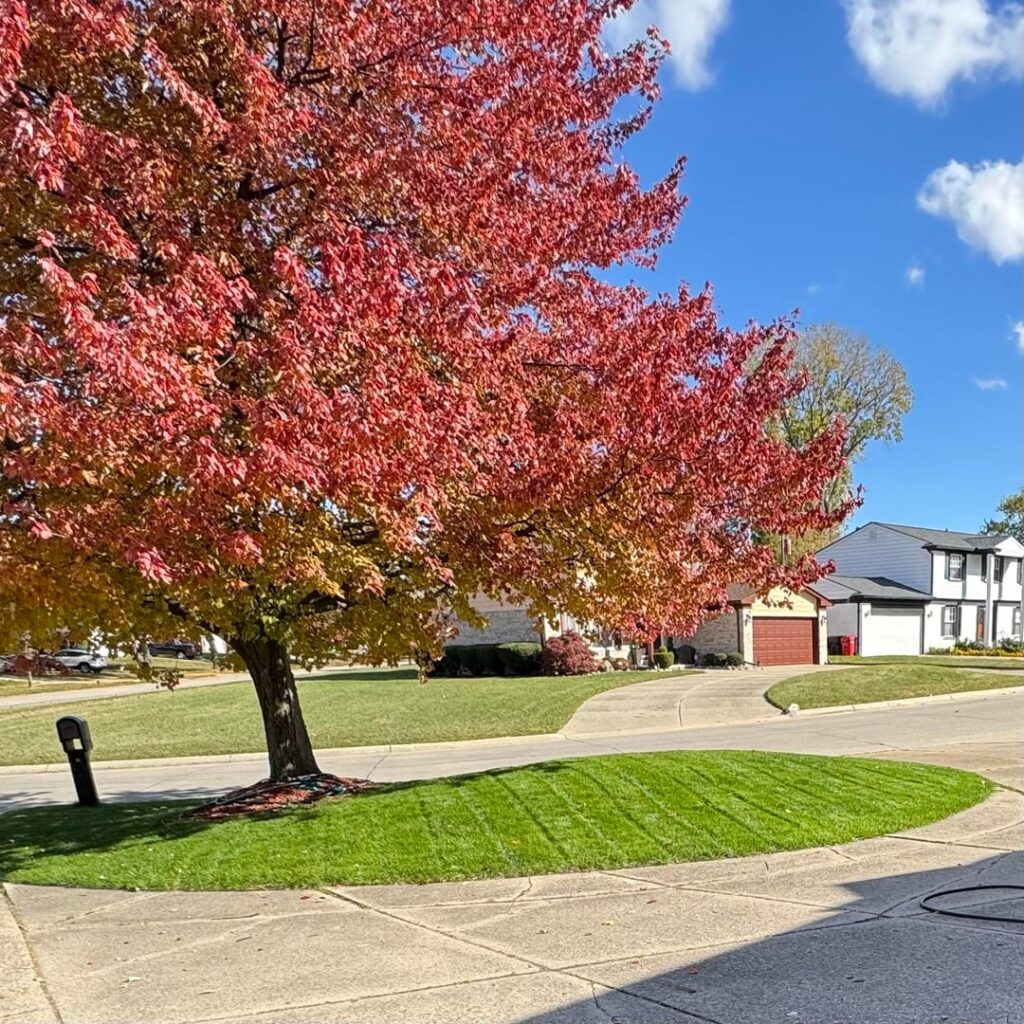 Overseeding success (Michigan)