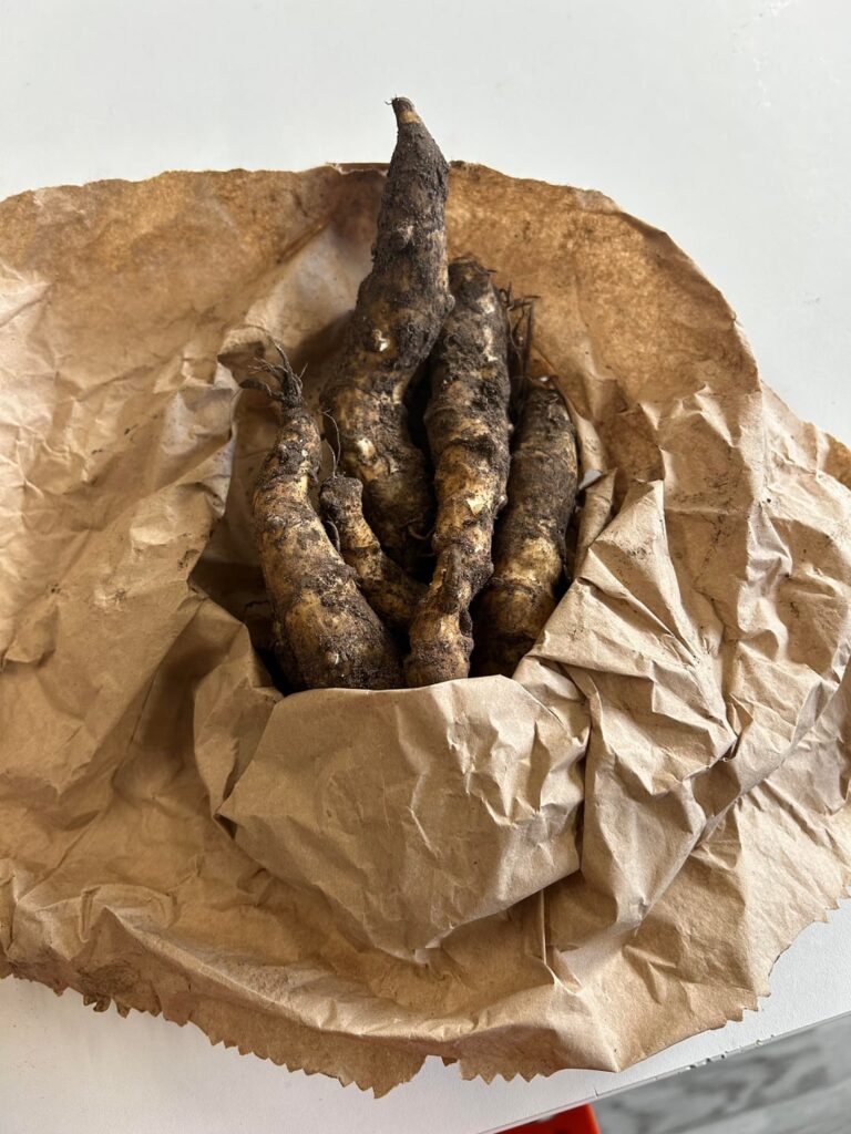 Hello, does anyone know what these are?