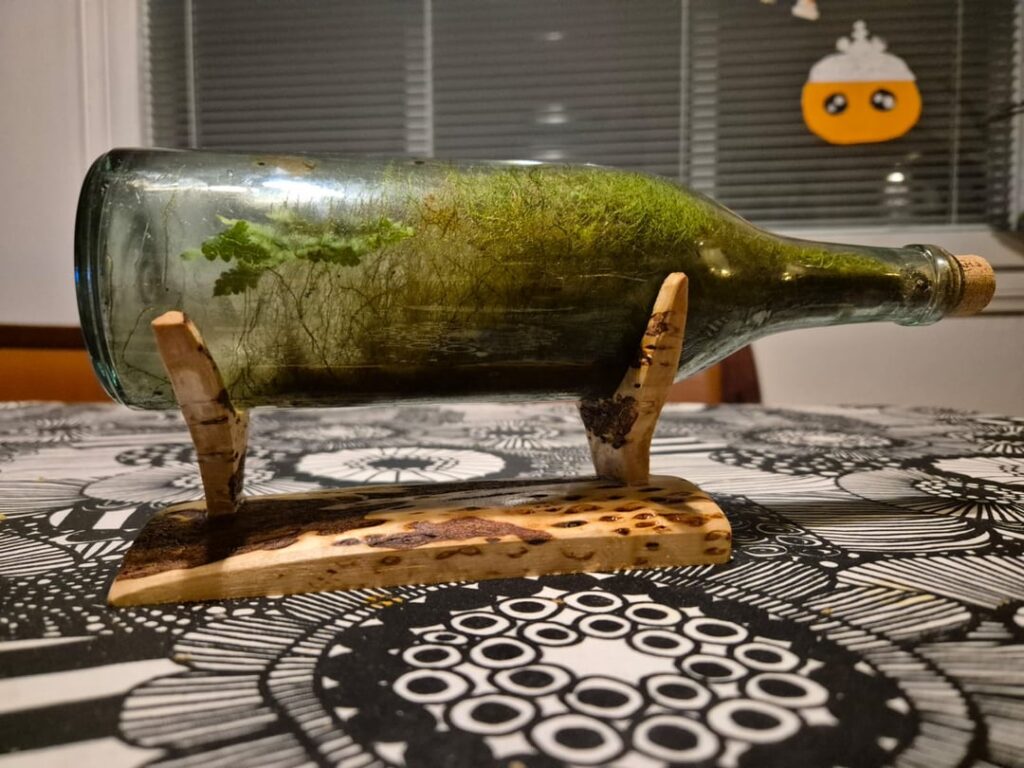 100+ year old forest find.