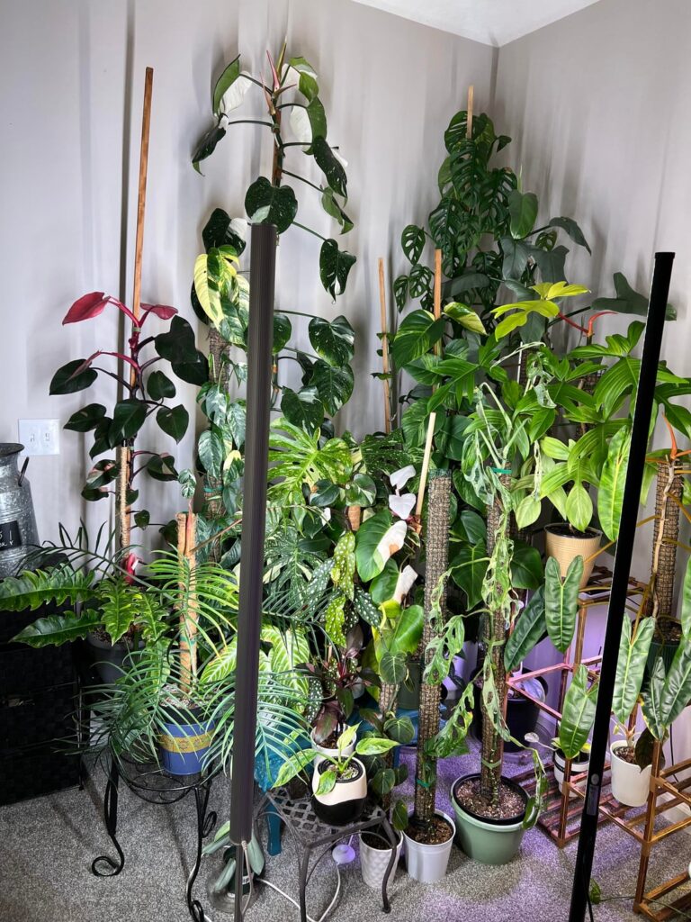 Favorite room in the house