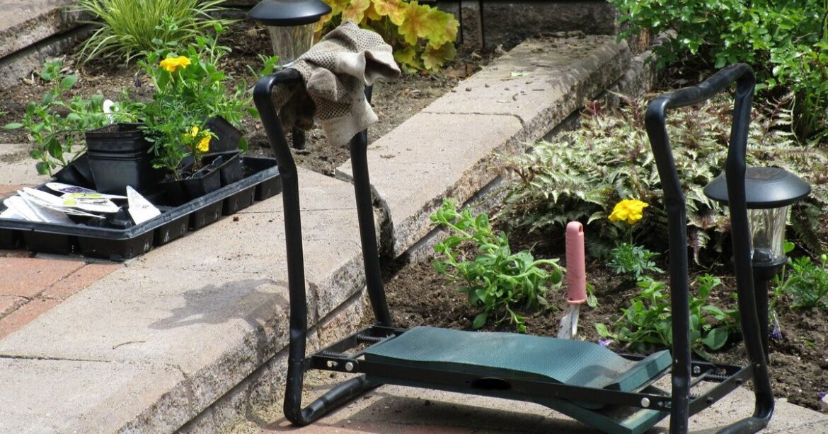 10 gift ideas for gardeners that ease the chores and inspire