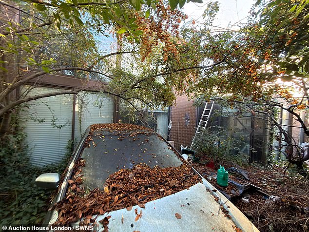 An abandoned car, covered in leaves, is also seen on the off-road driveway