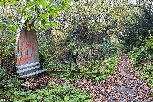 What was once an overgrown, vandal-prone lane is now bursting with wildflowers, exotic, shrubs and seasonal colour and even attracts newts