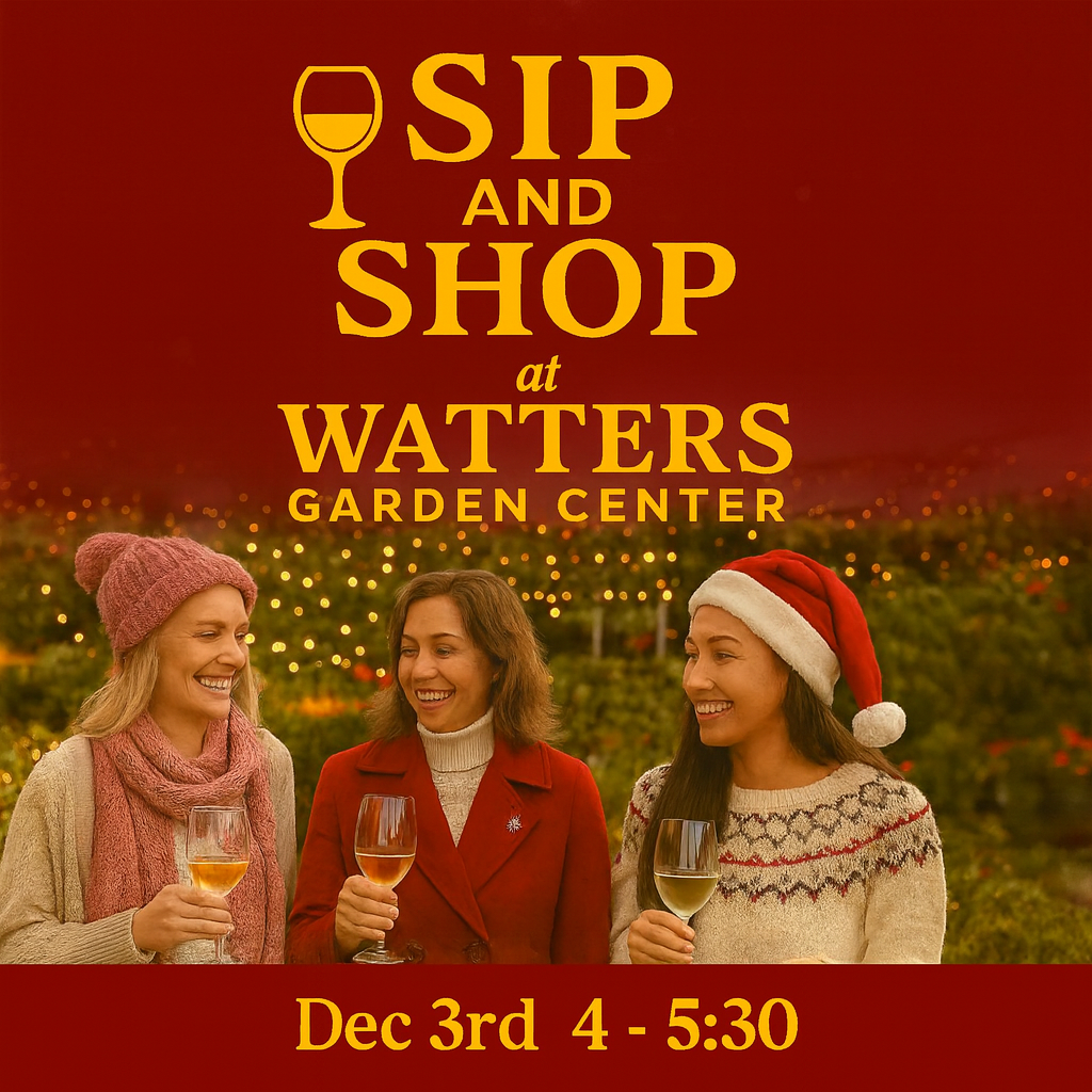 Festive Holiday Sip & Shop Event at Watters Garden Center 12 03 25 1500x1500 Sip and Shop w Date Time 768x768