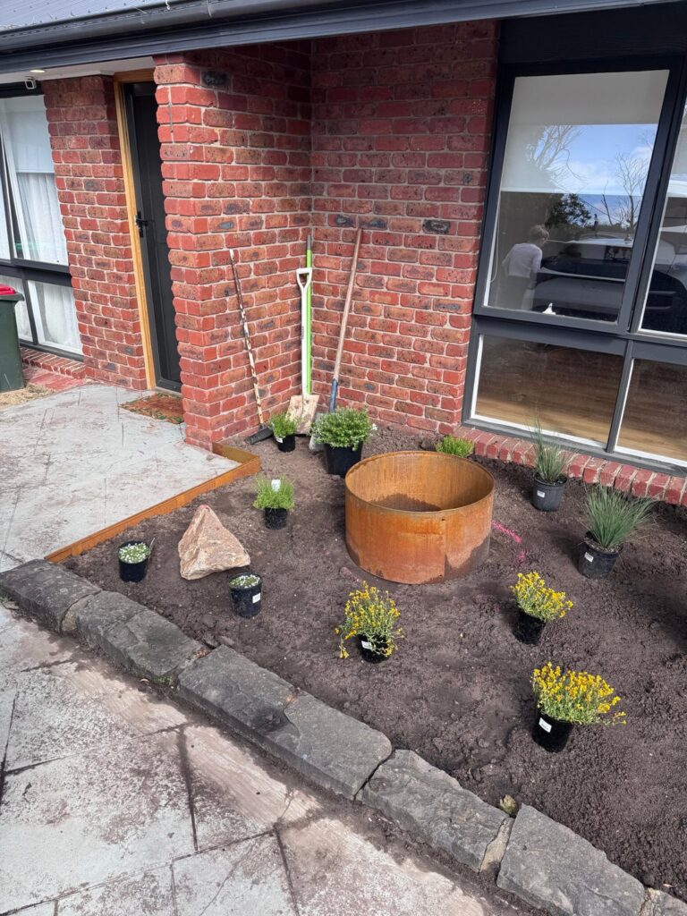 Feedback for my plant set out