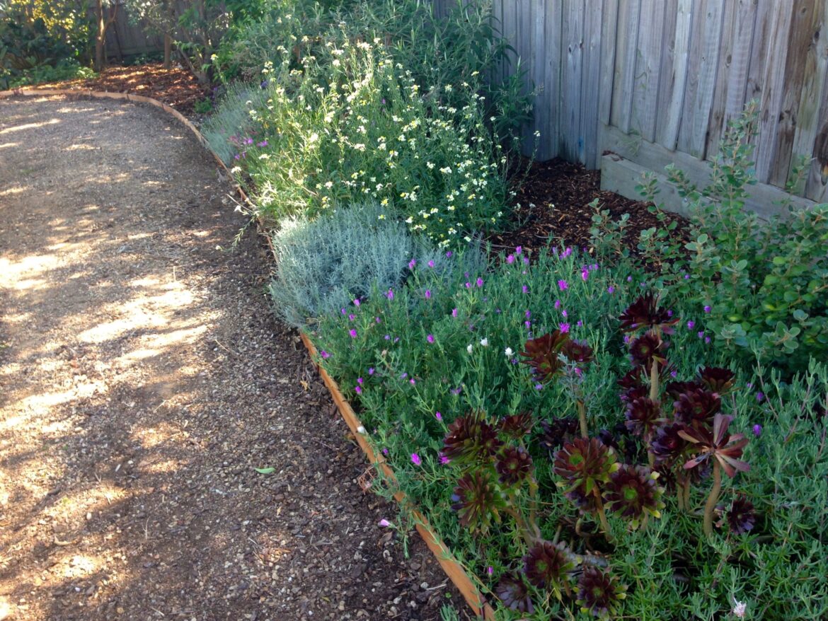 OSU Offers “Master Gardener” Training Program – The Source OSU Offers "Master Gardener” Training Program - The Source