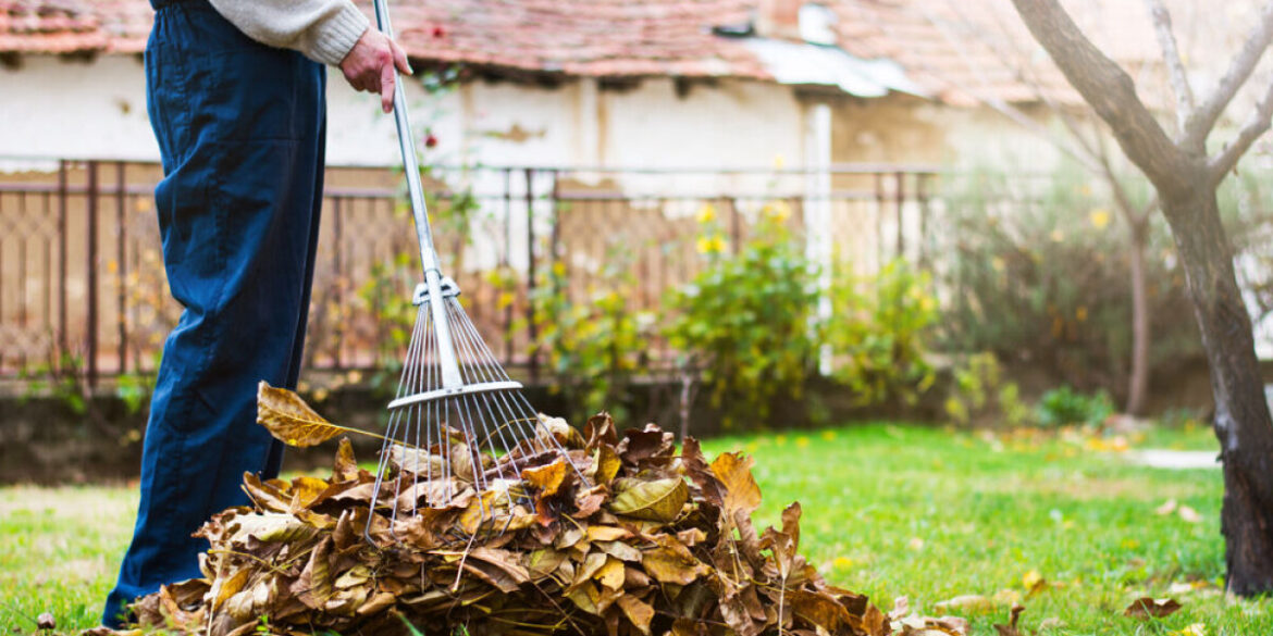 Are you responsible for clearing fallen leaves outside your home in France?