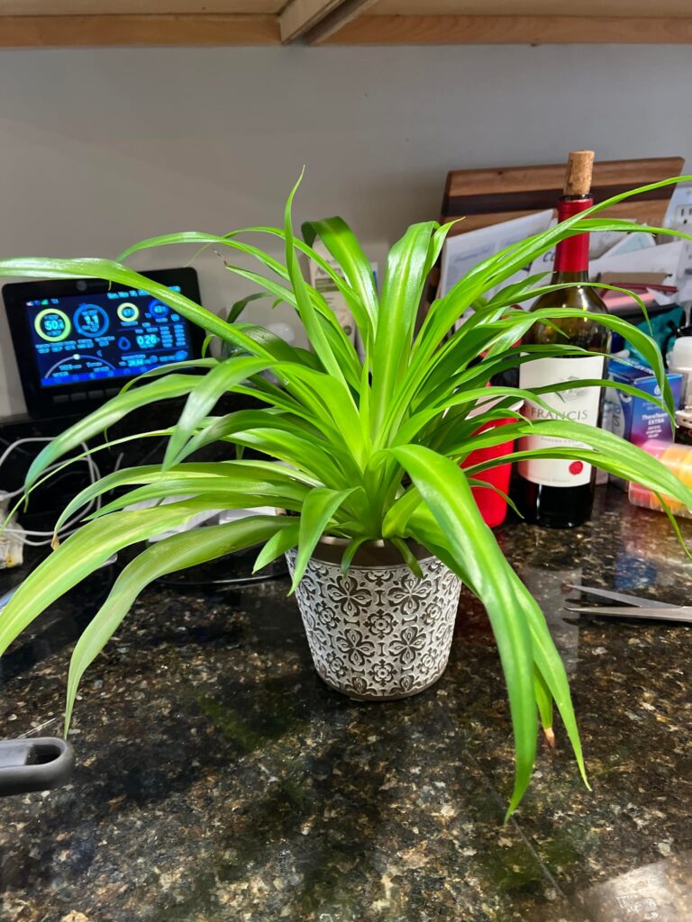 Can someone help me identify this?
