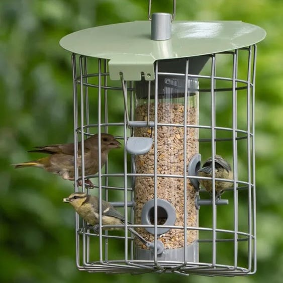 The Nuttery Squirrel Proof Roundhaus Seed Feeder