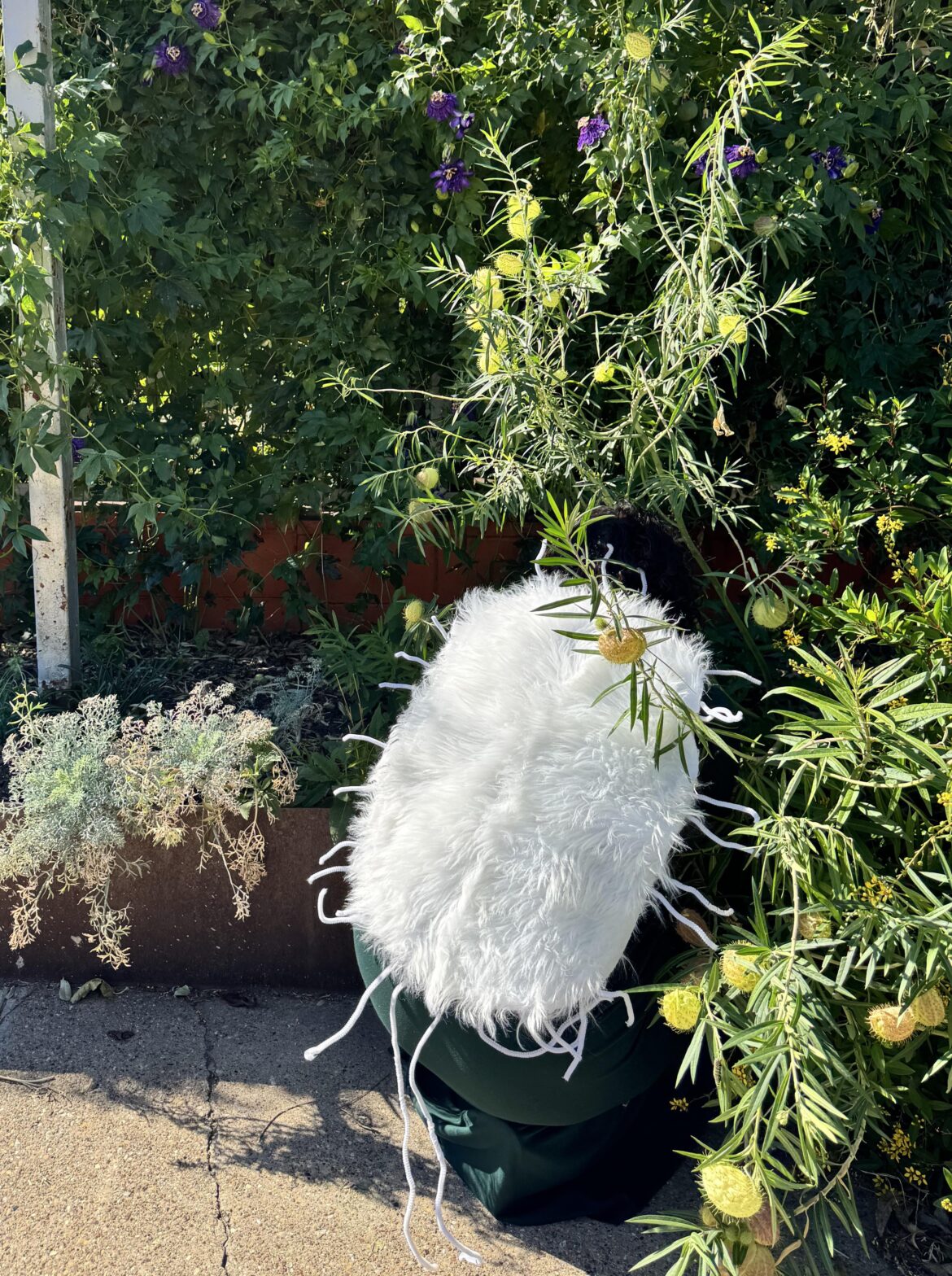 I’m baaaackk! (Your worst nightmare)