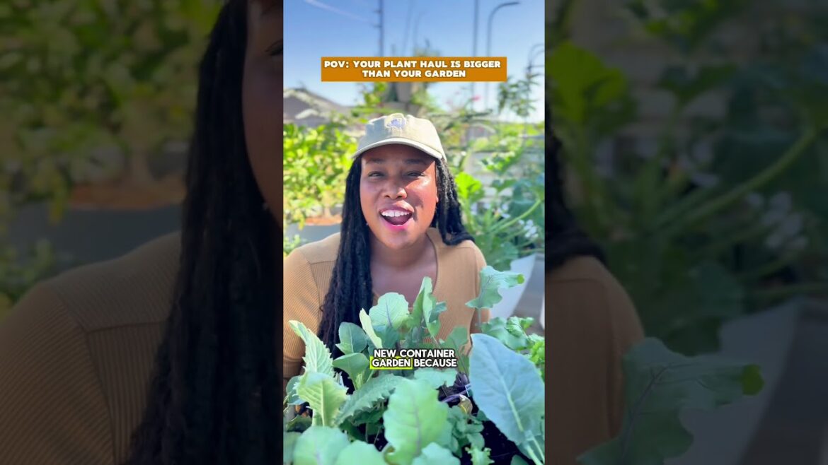 How to Start a Container Garden