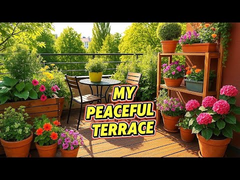 Small Garden Ideas to Transform Your Space! Small Garden Ideas to Transform Your Space!