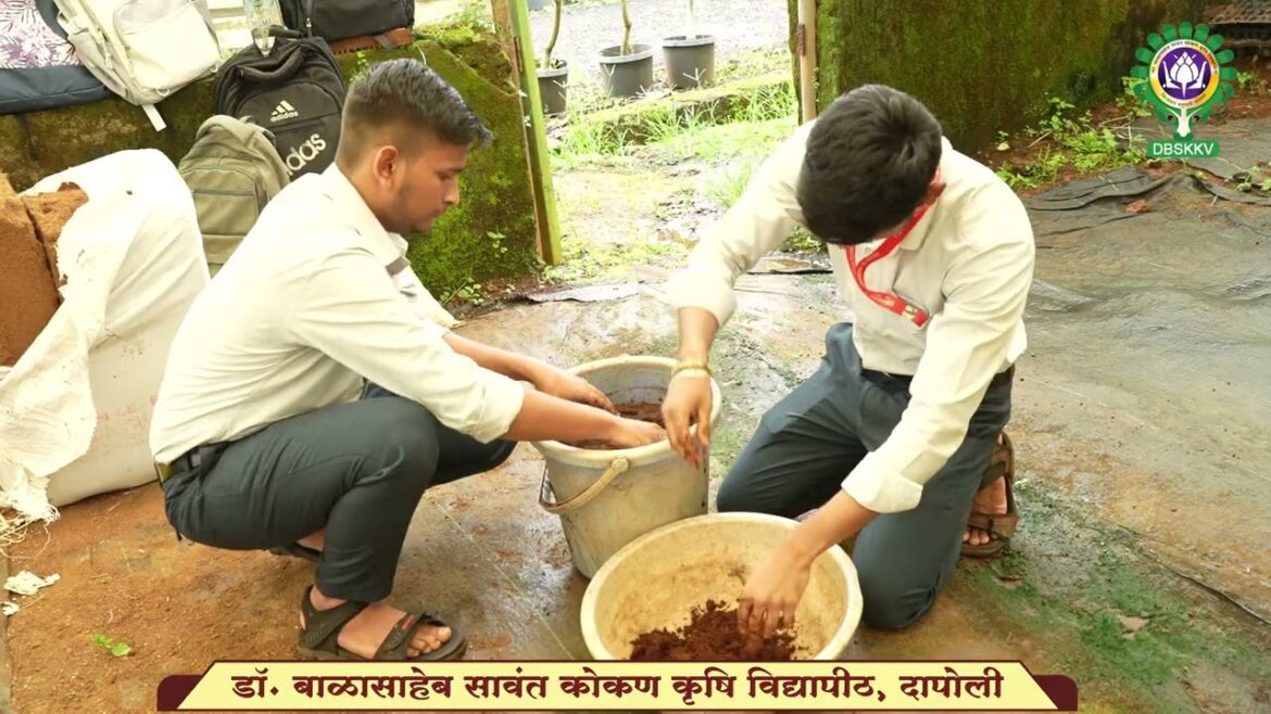 भाजीपाला लागवडीकरिता रोपवाटिका व्यवस्थापन। Vegetable Cultivation | Nursery Management | DBSKKV