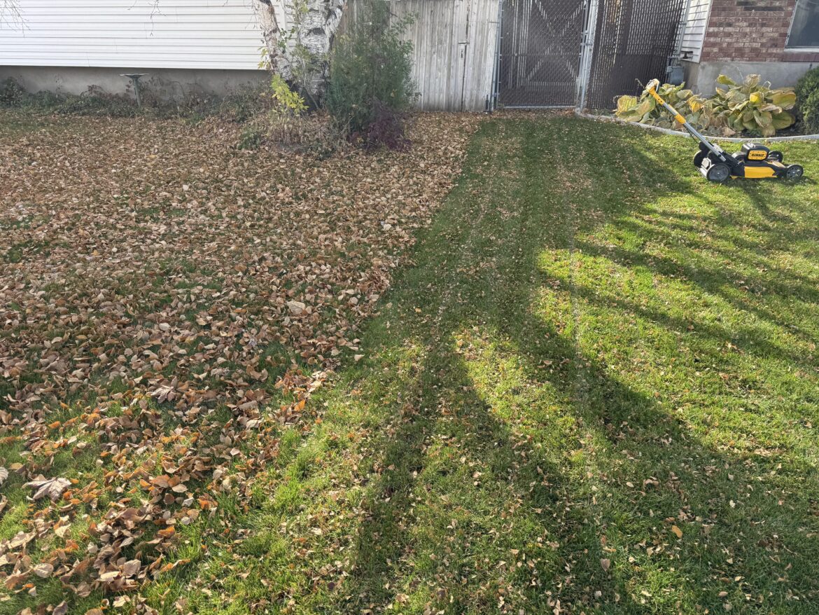 For all those of you wondering the question: bag or mulch the leaves? Here’s my result after going over leaves just 3 times. Mulch them.
