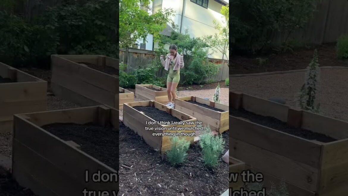 Replying to @Eliška Ručková the final reveal!!! My dad & i have spent the last week fixing up my Replying to @Eliška Ručková the final reveal!!! My dad & i have spent the last week fixing up my