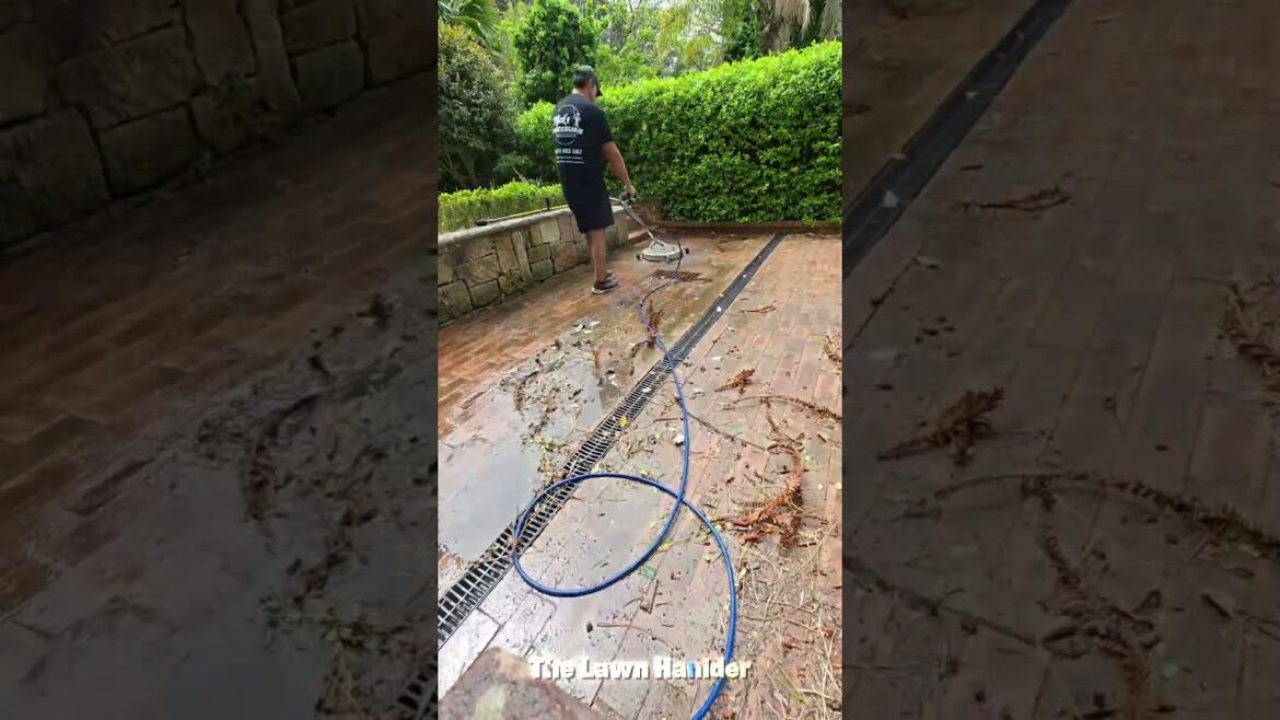 Mowing | Pressure Washing | Scraping 🌱 #shorts #satisfying #gardening