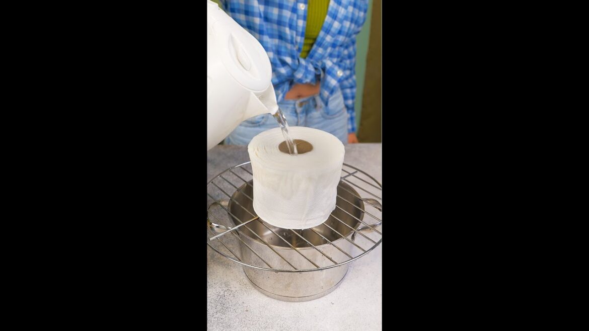 Mushroom Growing Secrets: From Spores to Supper ๐โ๐ซ Mushroom Growing Secrets: From Spores to Supper ๐โ๐ซ