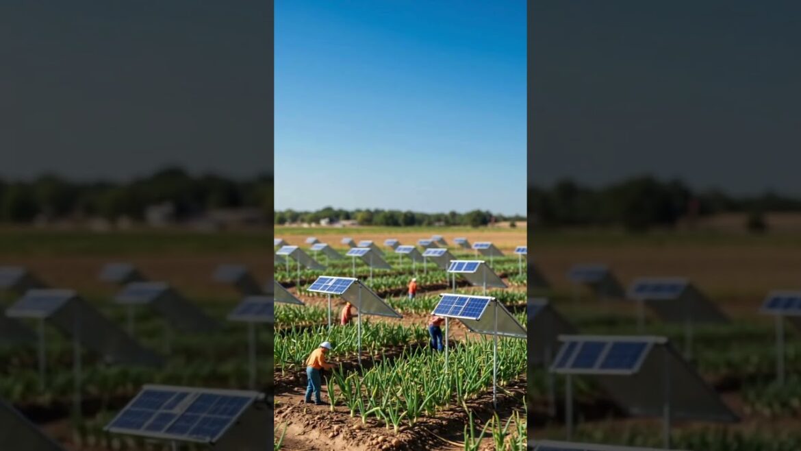 Sun Protection for Onions in a Tiny World Sun Protection for Onions in a Tiny World