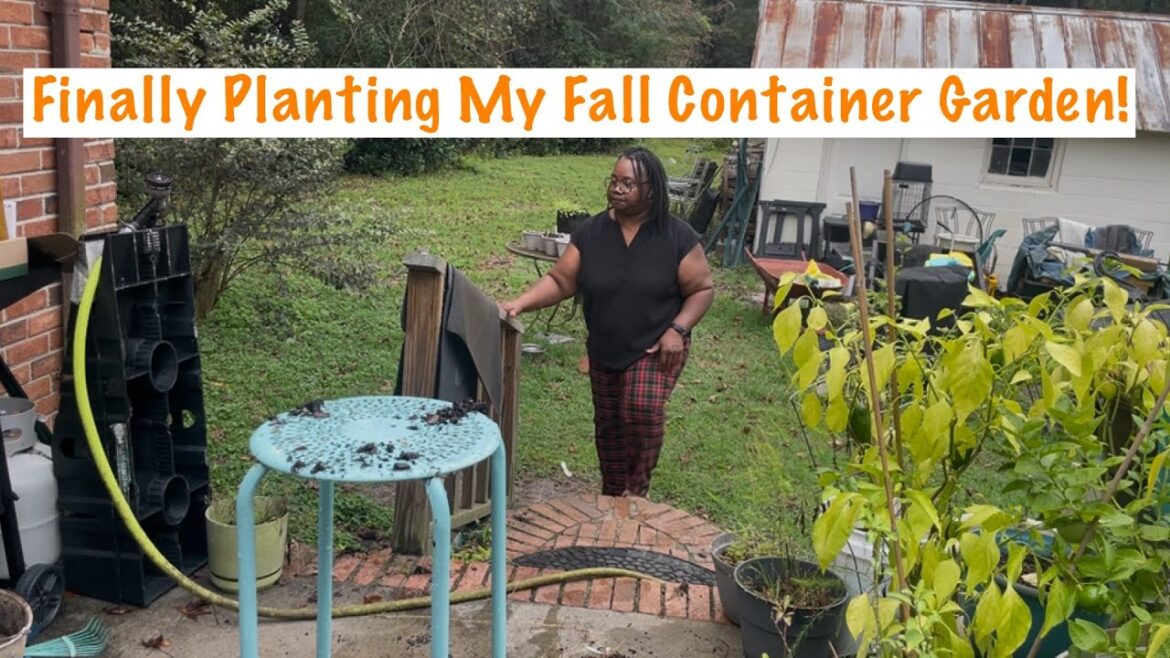 My Fall Container Garden- 2025 My Fall Container Garden- 2025