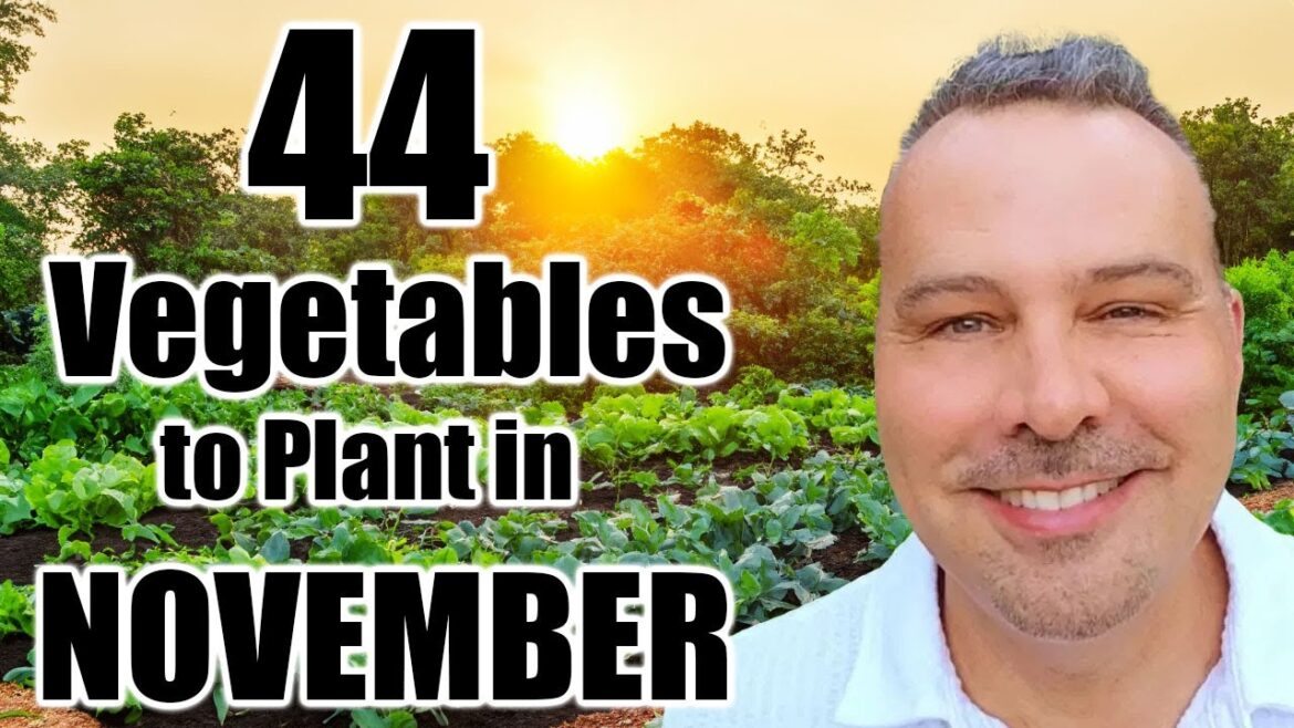 44 Crops to Plant in NOVEMBER!