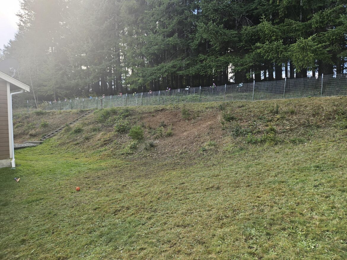 How to grass this area?