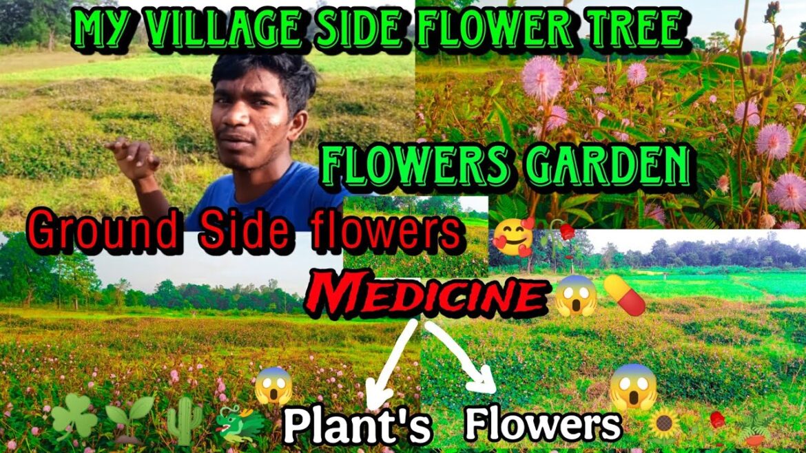 My Village Side Flowers Garden || Village Side Medicine Plans And Flowers 😱☘️ यह क्या फूल है? Nature