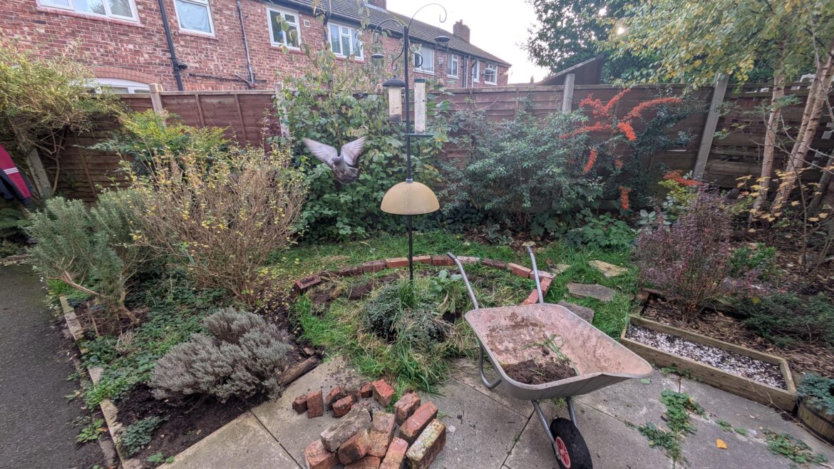 Year 5 in our house, slow NoLawn