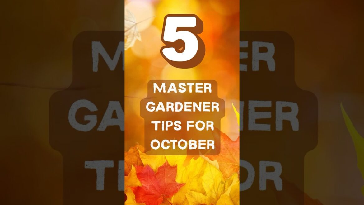 Master Gardener Tips for October 🍂 What to Do in the Fall Garden