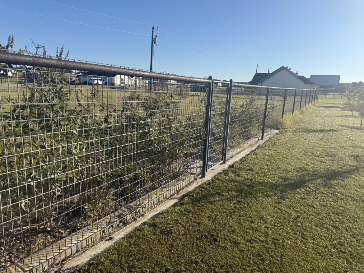Would it look dumb if I extender this concrete strip down my entire fence line?