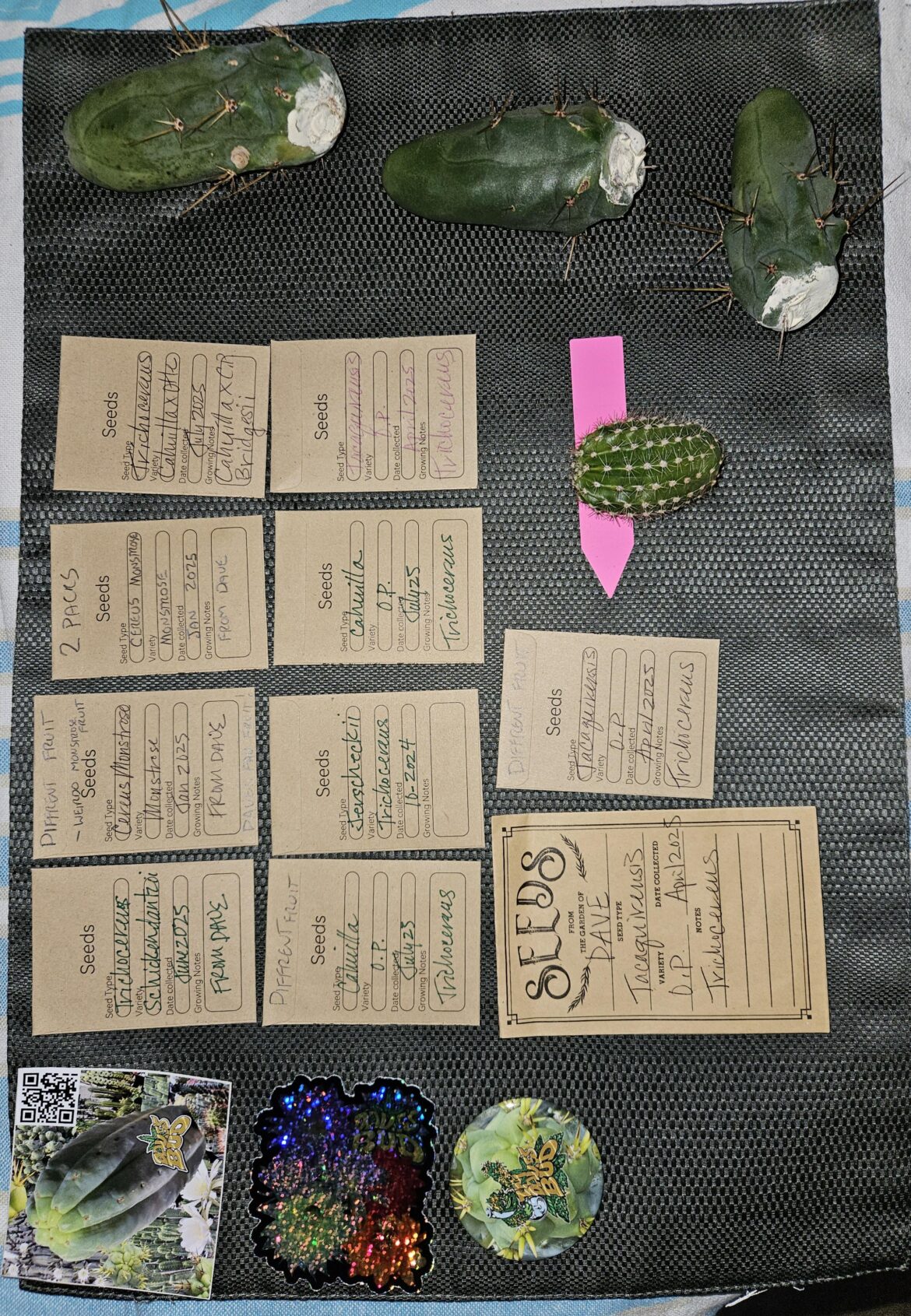 Shoutout to Dave’s Bud! Shoutout to Dave's Bud!