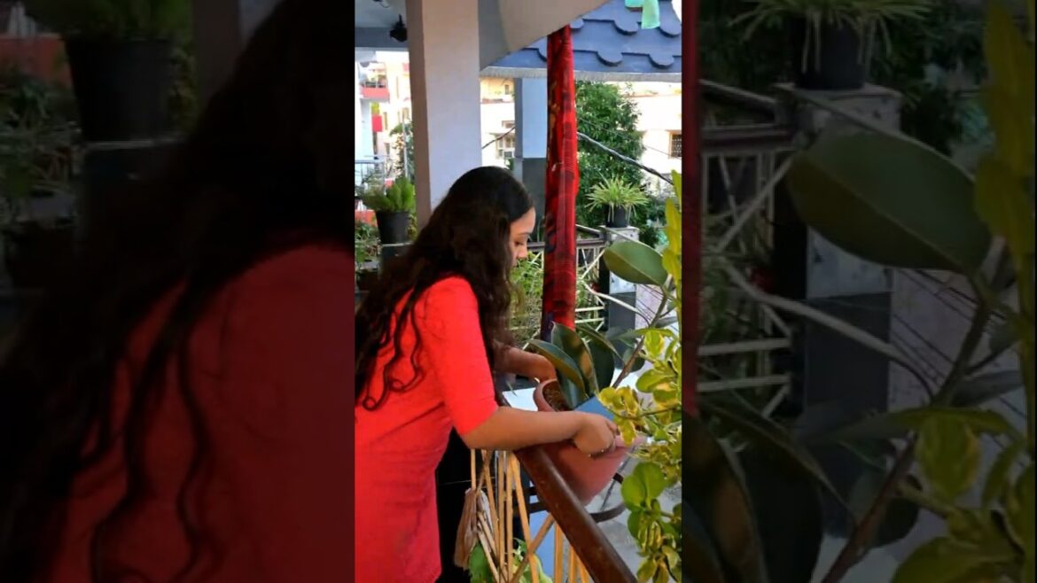 Banana plant missing❌💨🌿Mummy ka superstition, meri gardening ki tabahi😂🌱#plants #garden #gardening