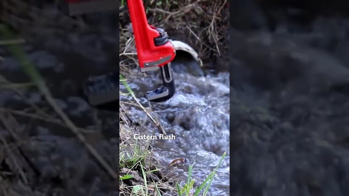 I got a pipe wrench! #cistern #homesteading