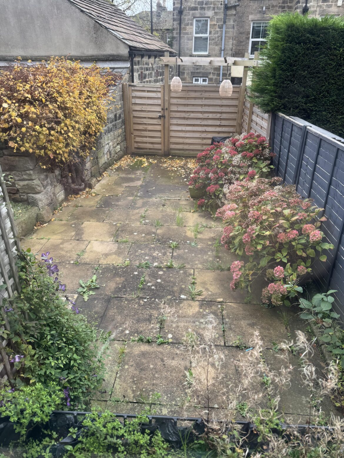 How can I stop the constant cycle of weeds on my patio?