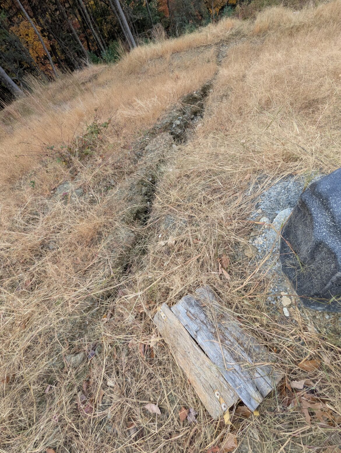 Water runoff beside well