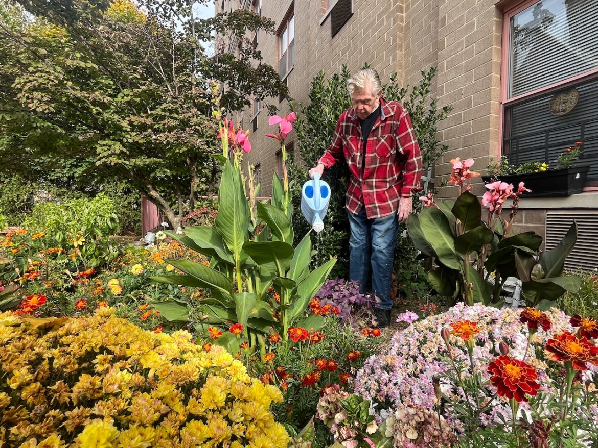 Senior Canterbury House resident creates a beautiful garden entrance Senior Canterbury House resident creates a beautiful garden entrance