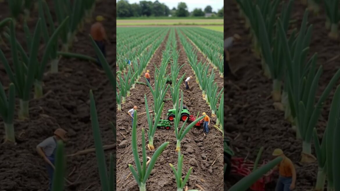How Tiny Farmers Fight Weeds