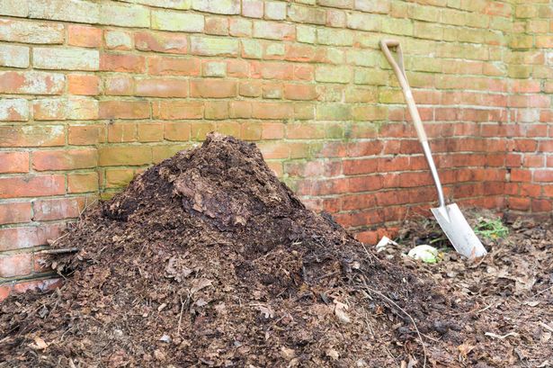 Homemade garden compost heap with leaf mould for use as a mulch or organic fertilizer, UK