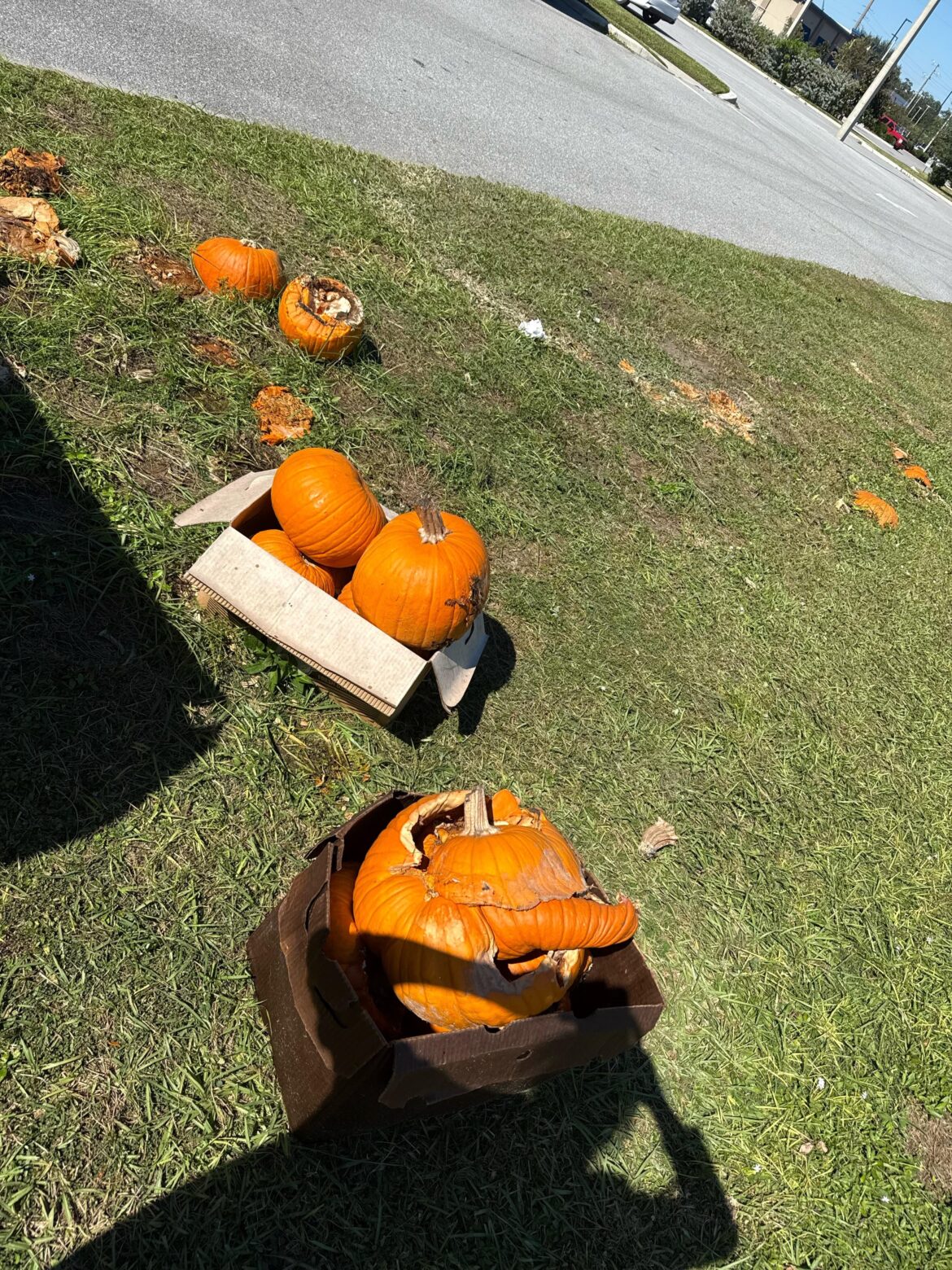 Rotten pumpkins for the win!!!