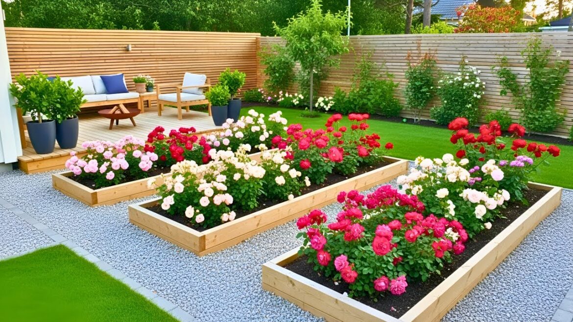 Stunning Rose Landscaping Ideas: 100+ DIY Rose Garden Designs for Your Backyard & Front Yard Stunning Rose Landscaping Ideas: 100+ DIY Rose Garden Designs for Your Backyard & Front Yard