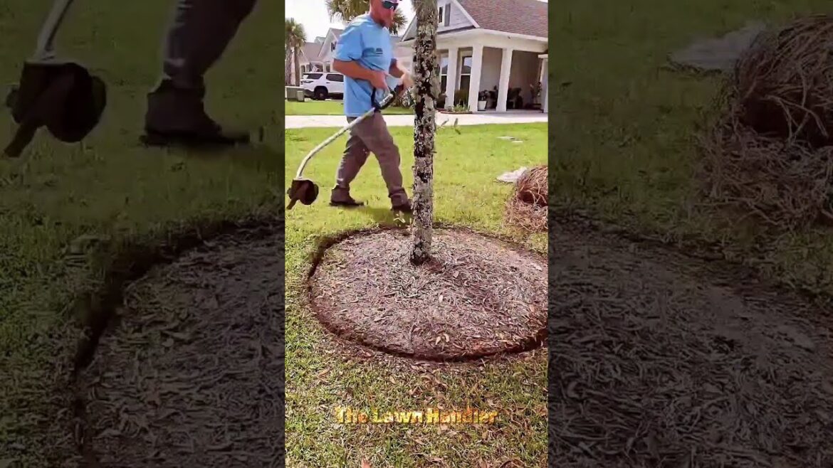 Taking care of the Golf Course | Lawn | Yard 🌿 #shorts #satisfying #gardening Taking care of the Golf Course | Lawn | Yard 🌿 #shorts #satisfying #gardening