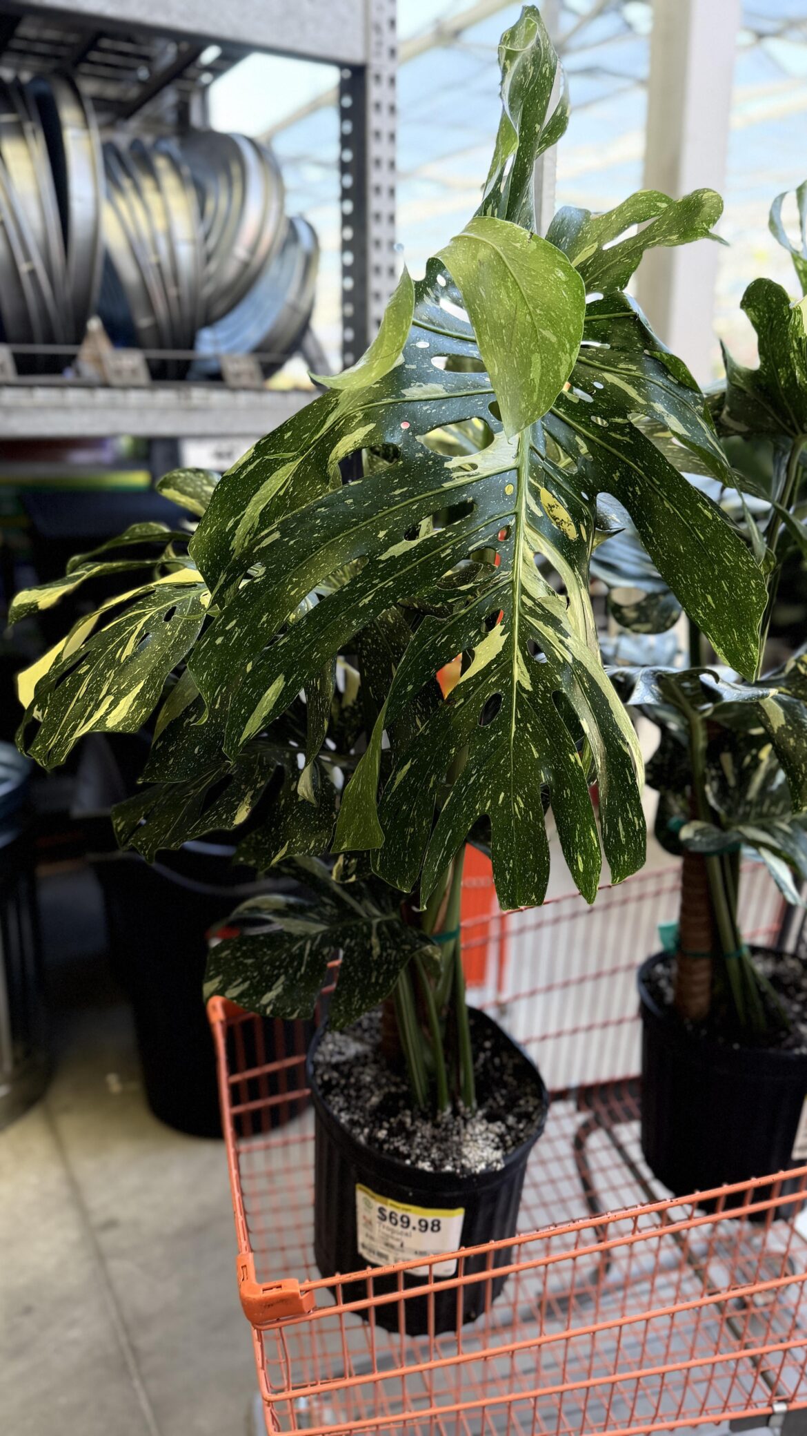 Found at Home Depot.