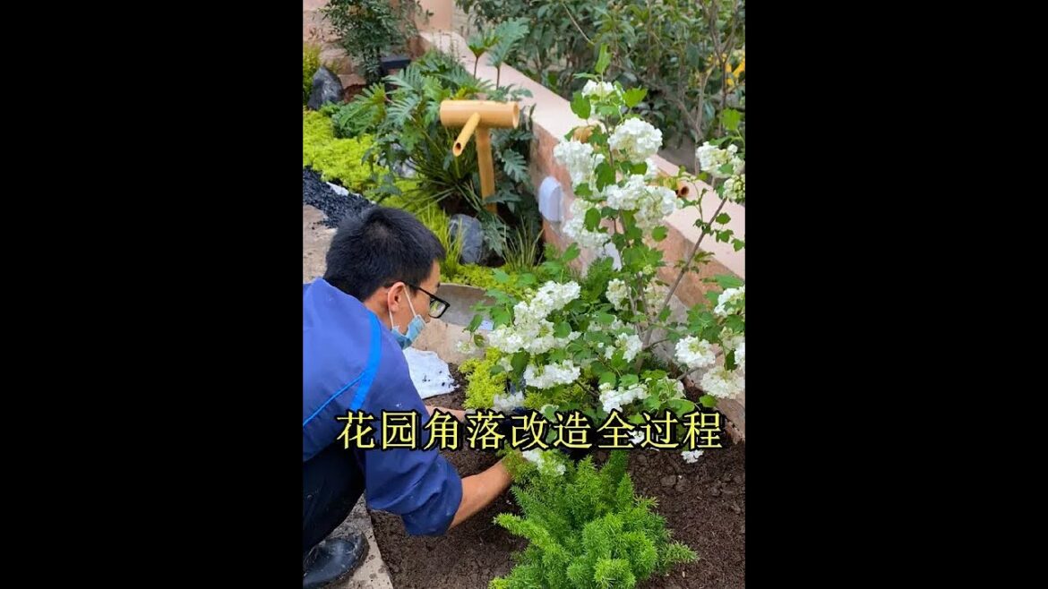 Garden corner renovation: 20-second process #Garden design #Garden renovation #Plant landscaping #