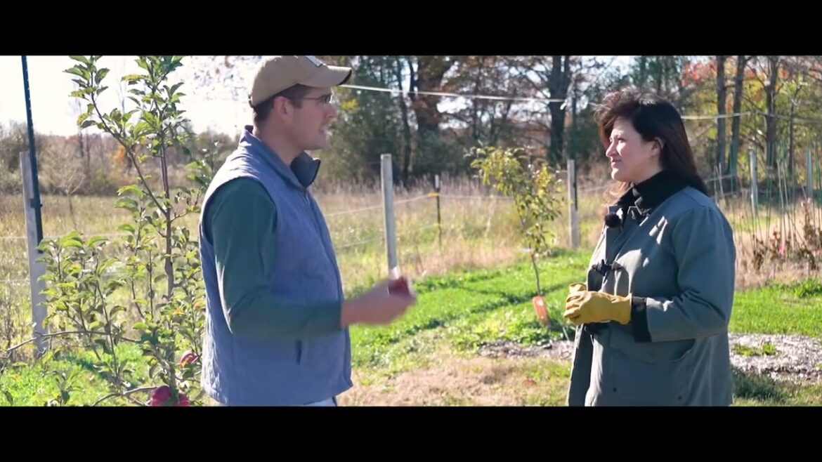 We Made a Hallmark Movie (A Match Made in Mulch)