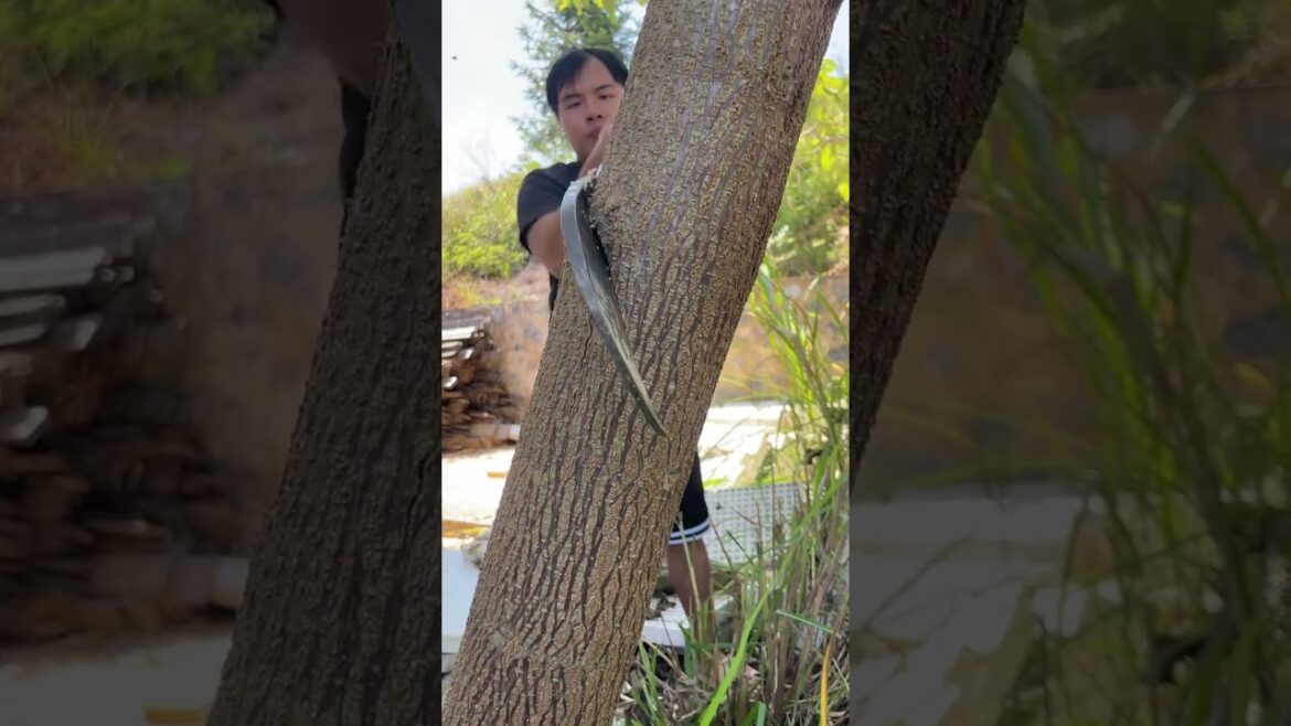 All-steel forged handmade hatchet, sharp and durable #chopping wood artifact #chop #logging #bamboo