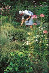 Mien Ruys at work in the heather, 1980.